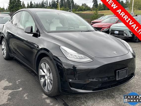 TESLA MODEL Y 2021 5YJYGDEDXMF116301 image